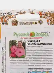Гибискус Русский размер "F1", 3 шт, смесь, НК