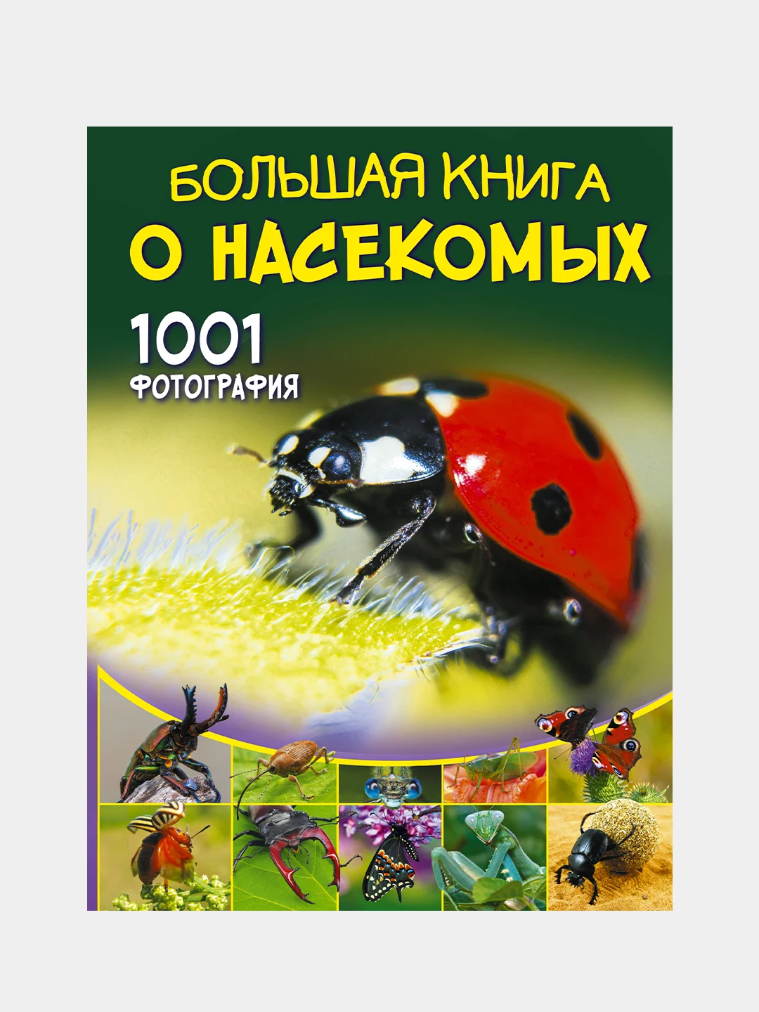 Большая книга о насекомых. 1001 фотография