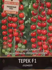 Семена Томат "Терек F1" 12 шт (семян) (Поиск)