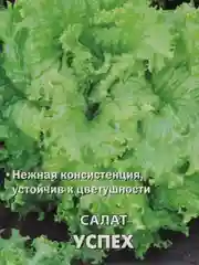 Салат листовой "Успех", 1 г, Поиск