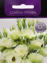 Эустома ЭйБиСи Грин, крупноцветковая, 10 штук, Поиск, семена профи, для любителей