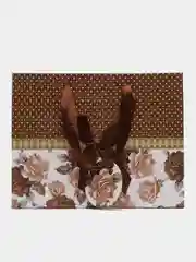 Коричневый пакет подарочный, упаковка на любой праздник, 23*18*10 см