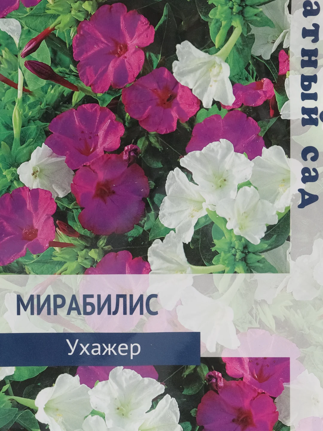 Мирабилис, ялапа "Ухажер", 1 г, Поиск