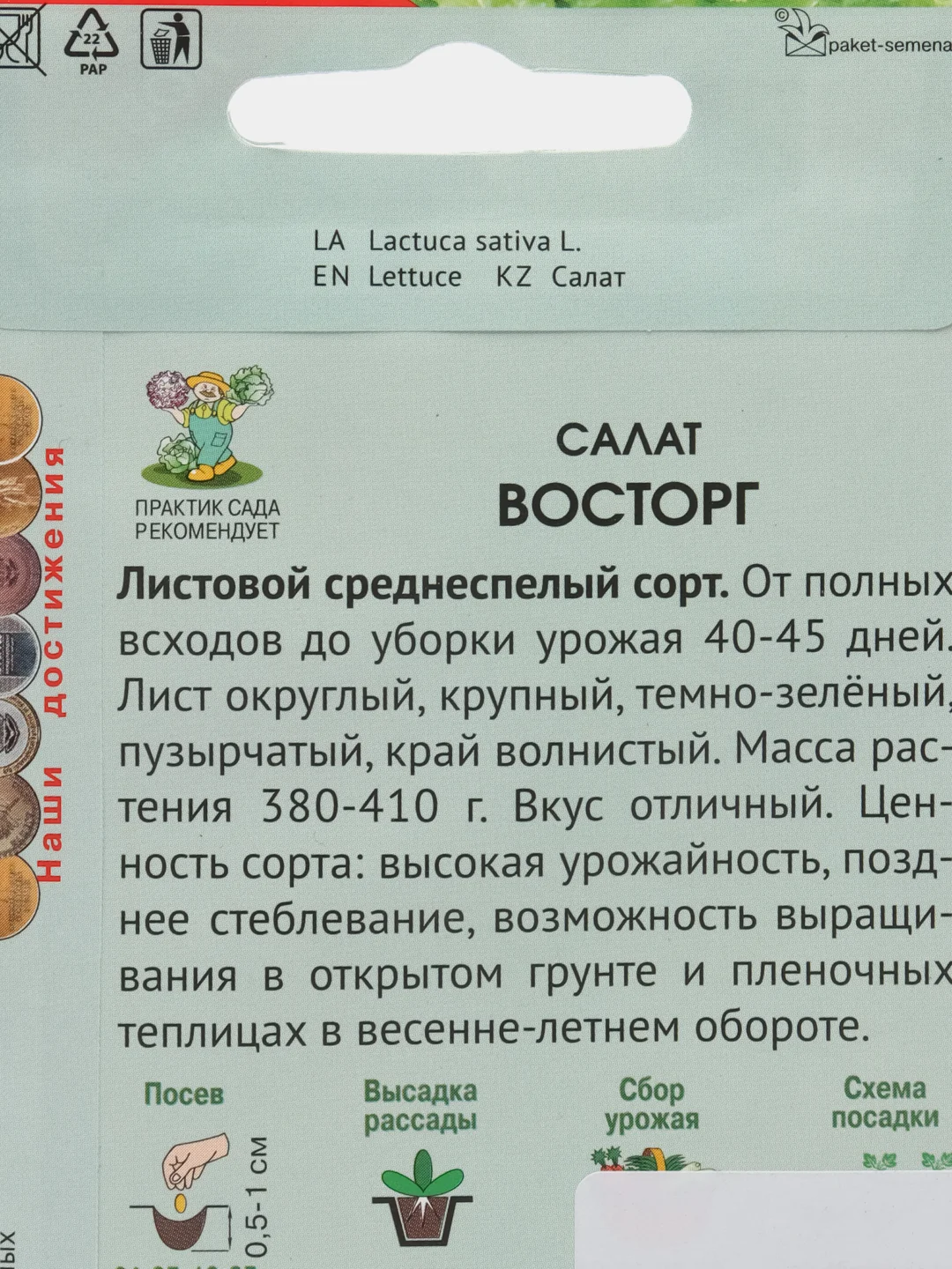 Салат листовой "Восторг" 1 г (Поиск)