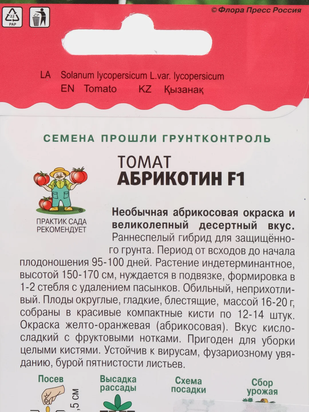Семена Томат "Абрикотин F1" 10 шт (семян) (Поиск)