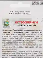 Семена "Остеоспермум", смесь окрасок, 0,1 г, Поиск