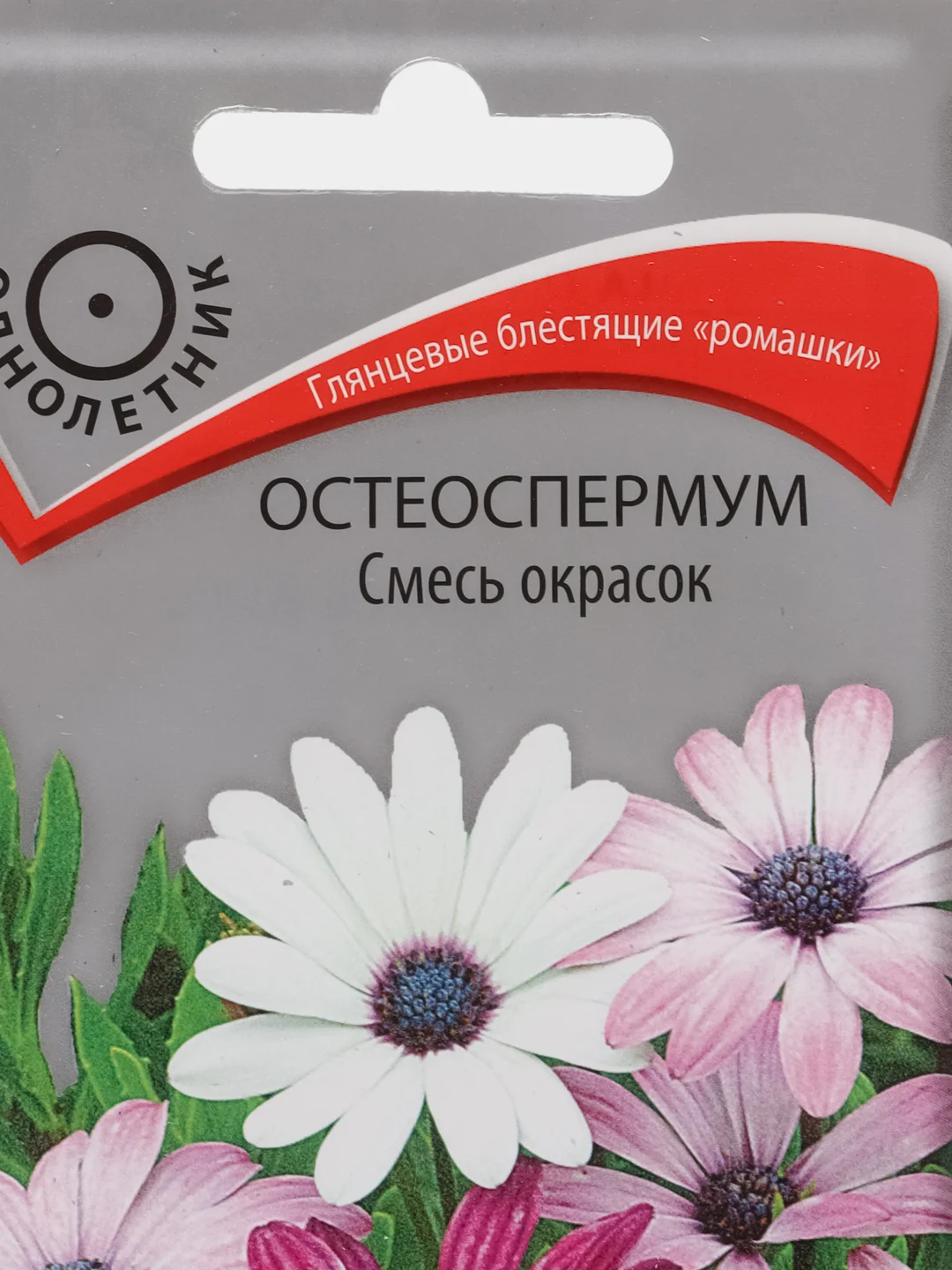 Семена "Остеоспермум", смесь окрасок, 0,1 г, Поиск