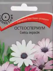 Семена "Остеоспермум", смесь окрасок, 0,1 г, Поиск