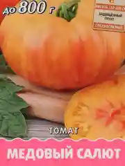 Семена Томат "Медовый салют" 10 шт (семян) (Поиск)