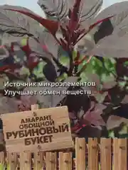 Семена Амарант овощной "Рубиновый букет" 0,02 г (Поиск)