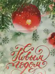 Красный новогодний пакет "С Новым Годом", 20 х 30 см, 3 шт / 5 шт