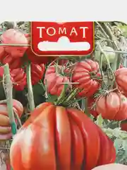 Томат "Тлаколула де Матаморос" 10 шт, среднеспелый, сладкий, Биотехника, семена