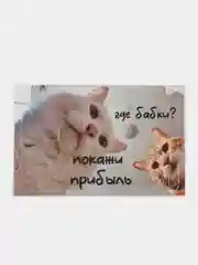Белый наклейки с приколами на банковскую карту
