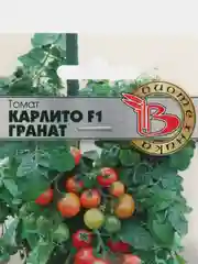 Томат "Карлито F1 Гранат" 5 шт, Биотехника, семена
