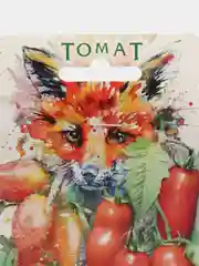 Томат "Ред Фокс" 25 шт, Биотехника, семена