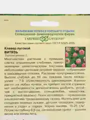 Сидерат Клевер Витязь луговой, 20 г, Гавриш