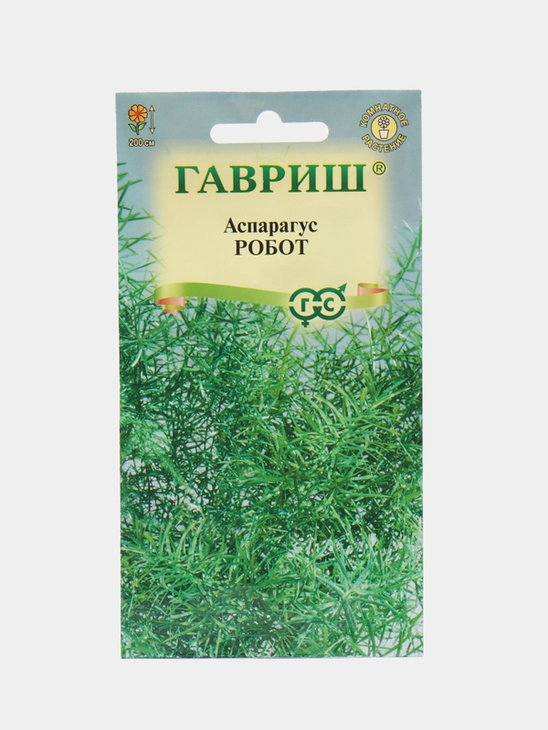 Аспарагус кистистый Робот, 0,2 г, комнатное цветущее растение, семейства спаржевые, Гавриш