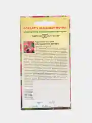 Баухиния Орхидейное дерево (пурпурная) 3 шт, (Гавриш)