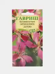 Баухиния Орхидейное дерево (пурпурная) 3 шт, (Гавриш)