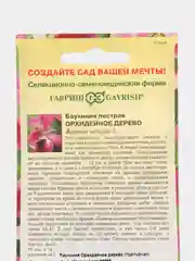 Баухиния Орхидейное дерево (пурпурная) 3 шт, (Гавриш)