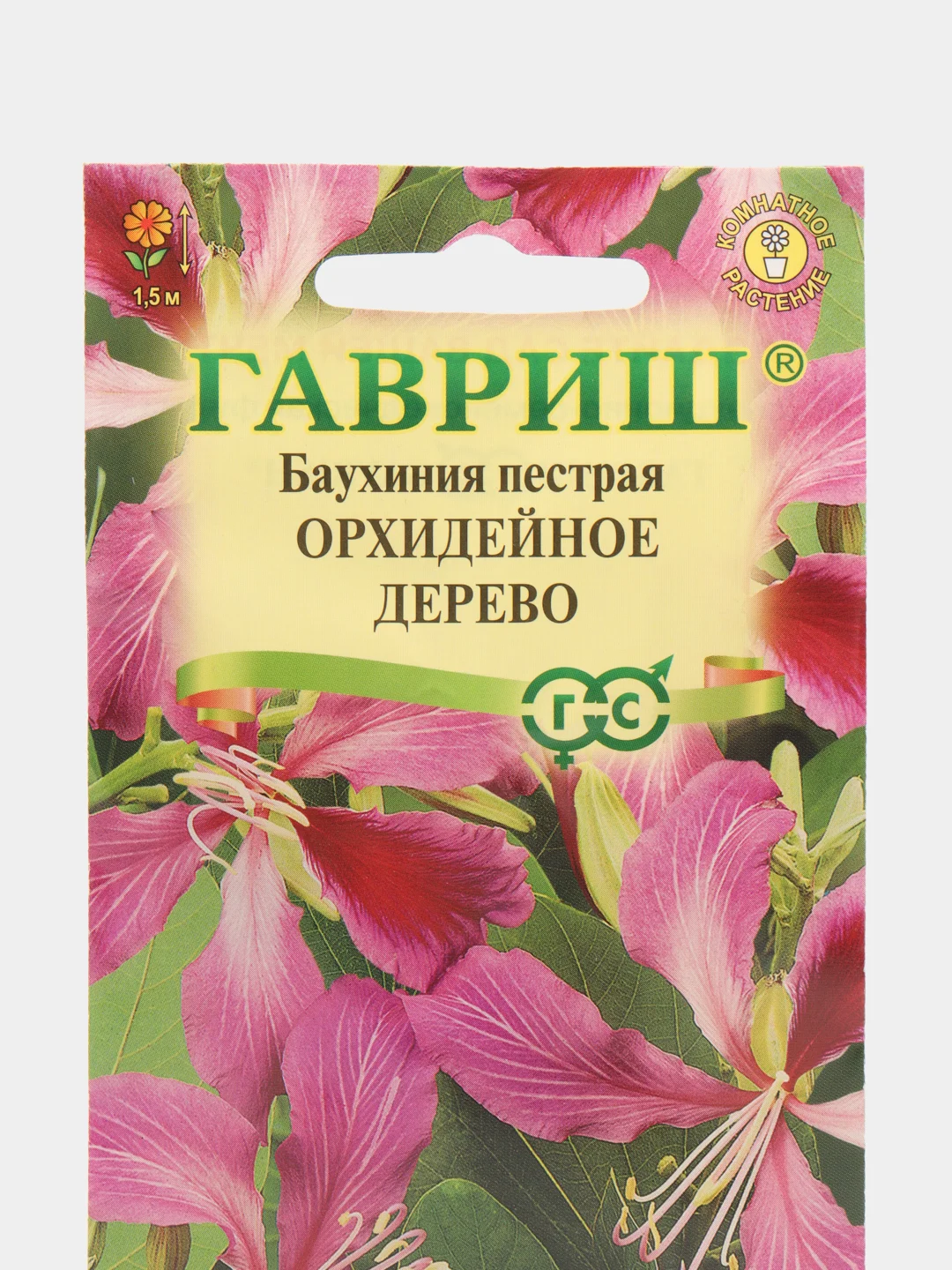 Баухиния Орхидейное дерево (пурпурная) 3 шт, (Гавриш)