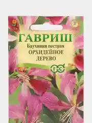 Баухиния Орхидейное дерево (пурпурная) 3 шт, (Гавриш)