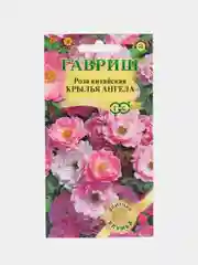 Семена Роза китайская "Крылья ангела" 5 шт (Гавриш)