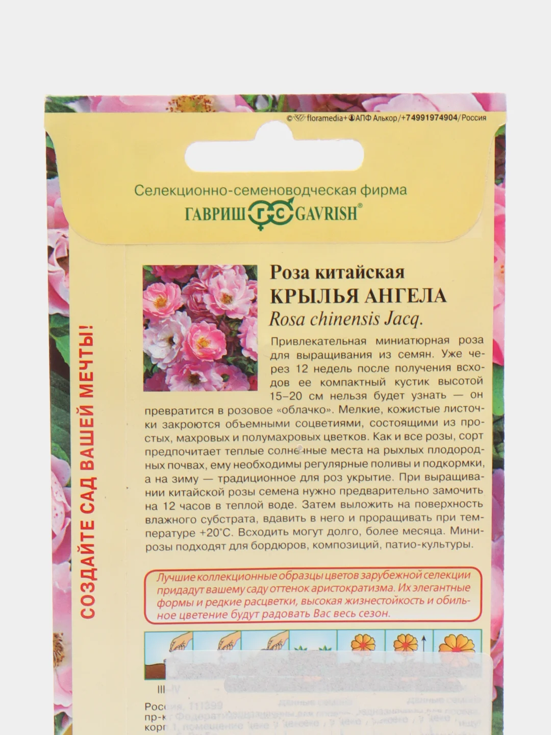 Семена Роза китайская "Крылья ангела" 5 шт (Гавриш)