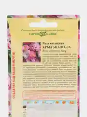 Семена Роза китайская "Крылья ангела" 5 шт (Гавриш)