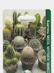 Кактус "Мега Мульти Микс", 35 шт, Биотехника. Семена из Голландии