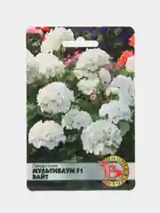 Пеларгония "Мультиблум F1 Вайт", 5 шт, Биотехника. Семена из Голландии