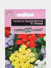 Примула "Ромио F1" махровая 3 шт (Гавриш)