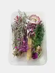 Лесной зеленый сухоцветы в коробе, 17 х 12 х 3 см
