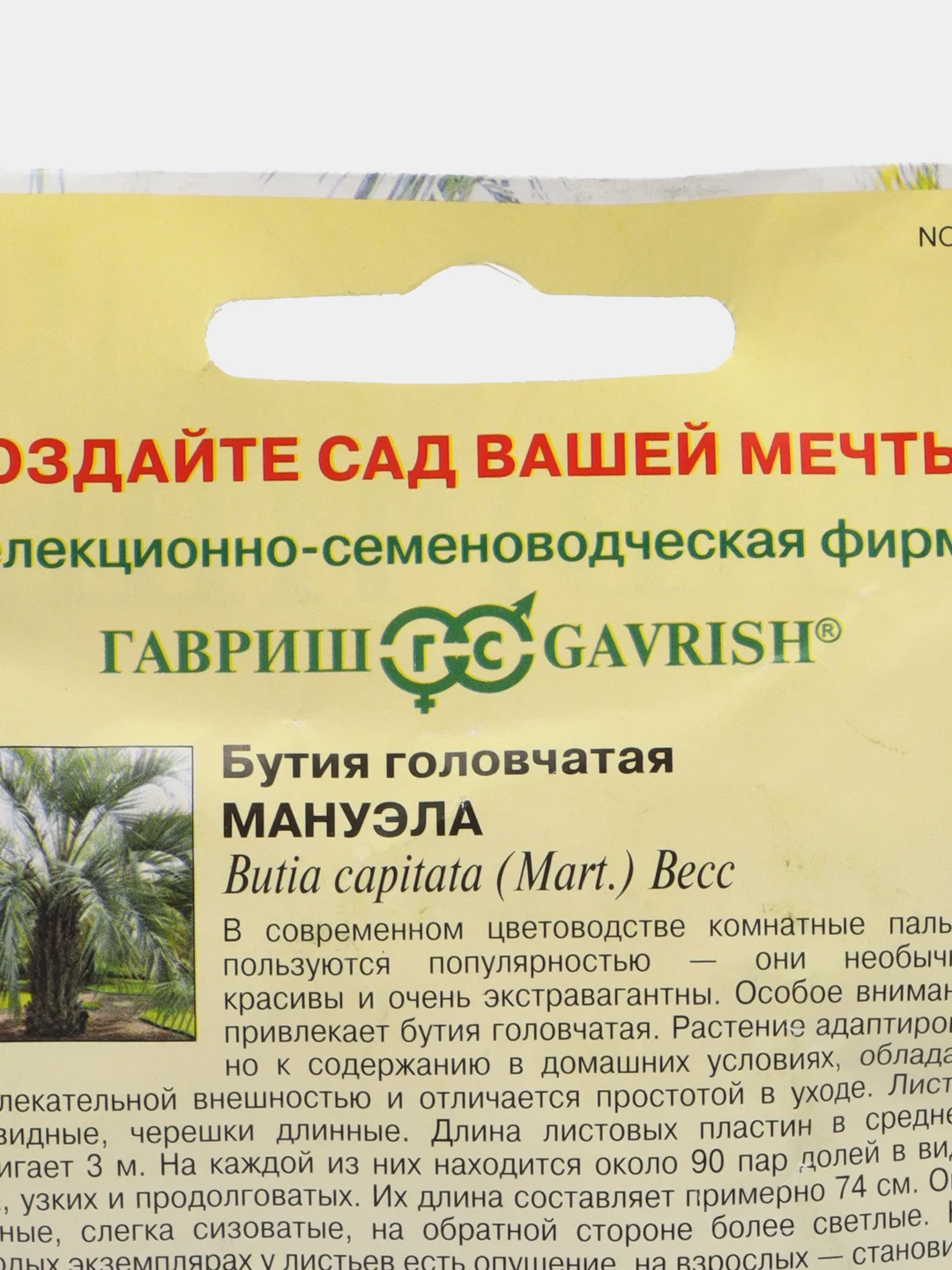 Бутия головчатая Мануэла, 3 шт, Гавриш