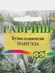 Бутия головчатая Мануэла, 3 шт, Гавриш