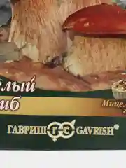 Мицелий, грибы "Белый гриб", на зерновом субстрате, 15 мл, Гавриш