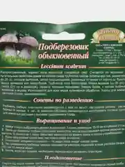 Семена Мицелий грибы "Подберезовик" на зерновом субстрате 15 мл, Гавриш