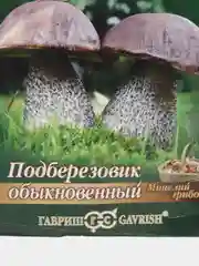 Семена Мицелий грибы "Подберезовик" на зерновом субстрате 15 мл, Гавриш