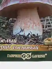 Мицелий, грибы, "Белый гриб. Сосновый", на зерновом субстрате, 15 мл, Гавриш