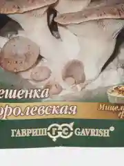 Мицелий грибы "Вешенка Королевская" на древесной палочке (12 шт) (ГАВРИШ)