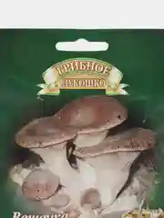 Мицелий грибы "Вешенка Королевская" на древесной палочке (12 шт) (ГАВРИШ)