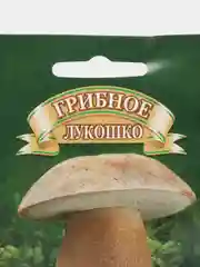 Семена Мицелий грибы "Белый гриб дубовый" на зерновом субстрате 15 мл, Гавриш