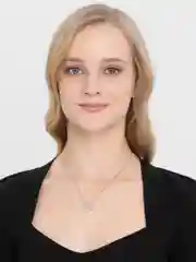 Розовый цепочка на Новый Год бабочка и сердце