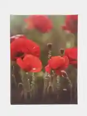 Лесной зеленый фотоальбом 100 фото, 10х15, "Цветы", твёрдая обложка