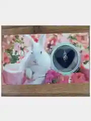 Кораллово-розовый колье-подвеска "Жемчужина желаний", подарочный набор