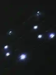 Белый гирлянда роса светодиодная, нить, от сети, 20, 30, 50 метров
