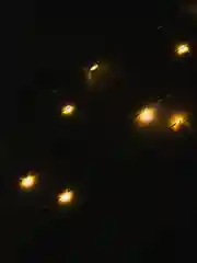 Желтый гирлянда роса светодиодная, нить, от сети, 20, 30, 50 метров