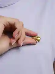 Золотой значок Значкофф "Щука"