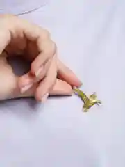 Золотой значок Утка+Значкофф+арт.105