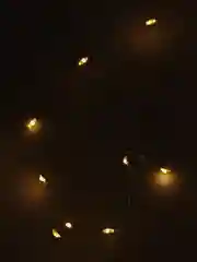 Желтый гирлянда штора - занавес Роса новогодняя, 2*2.6 м, кабель 1.5 м, гирлянда на окно, елку